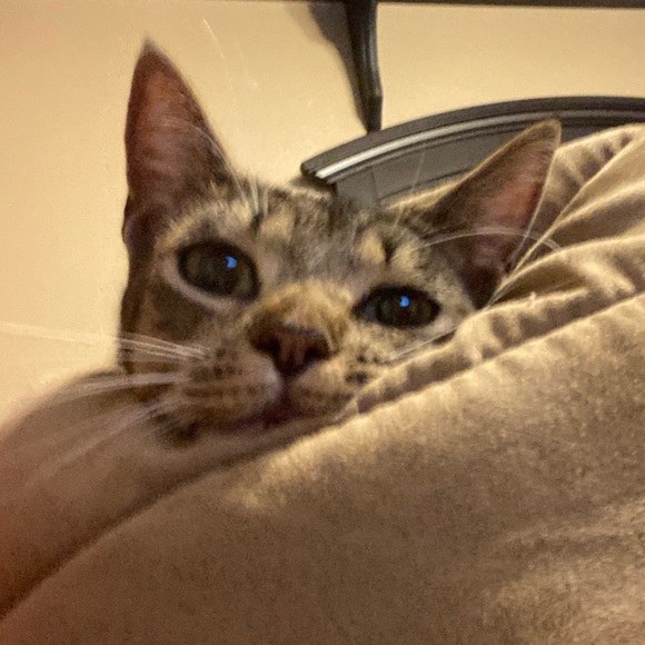 Meet your Posher, 🔥derek - Picture 1 of 1